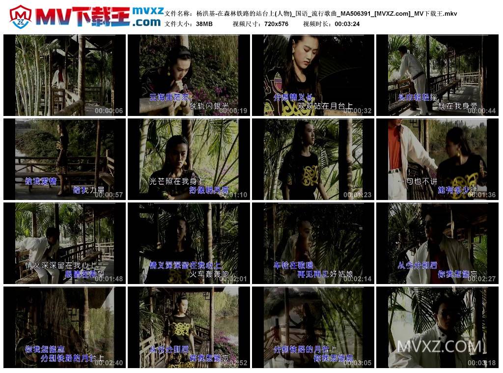 杨洪基-在森林铁路的站台上(人物)_国语_流行歌曲_MA506391